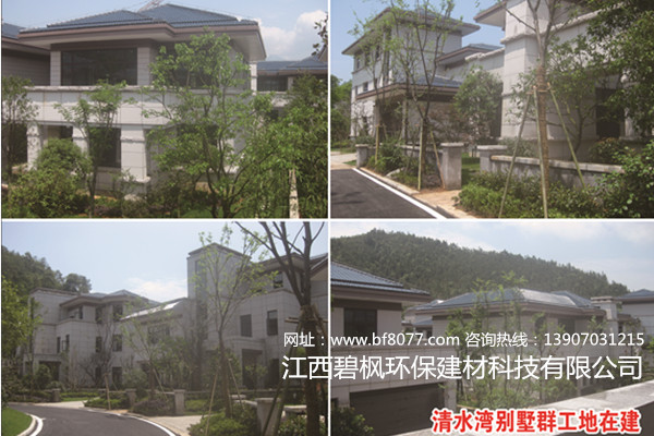 江西真石漆施工效果圖